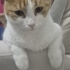 Evine Bağlı Aile Dostu fotoğraf