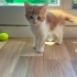 Acil Yuva Ariyoruz fotoğraf