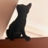 4 Aylık Siyah Güzellik Ömürlük Yuvasını Arıyor 🐾🖤 fotoğraf