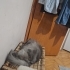 Sokağa terkedilen bu canı bugün sahiplenen olmazsa yarın sokağa dönecek fotoğraf