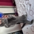 Bugün son gün acile yuva heeemmmeennnn fotoğraf