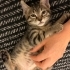 1,5 aylık minik kalp huzur getirecek fotoğraf