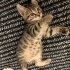 1,5 aylık minik kalp huzur getirecek fotoğraf