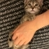 1,5 aylık minik kalp huzur getirecek fotoğraf