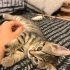 1,5 aylık minik kalp huzur getirecek fotoğraf