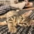 1,5 aylık minik kalp huzur getirecek fotoğraf