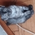 Oyuncu çok sevimli bebekler fotoğraf