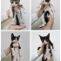 Anne ve yavrularına kalıcı/geçici yuva fotoğraf