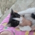 Rüzgar Bebek Yuvasını Bekliyor fotoğraf