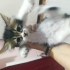 Bu tatlı kız size gelsin mi fotoğraf