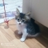 Bu tatlı kız size gelsin mi fotoğraf