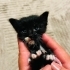 Annesini bulamıyoruz tek başına fotoğraf