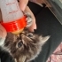 Minik kızımıza acil yuva fotoğraf