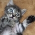 Minik kızımıza acil yuva fotoğraf
