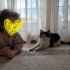 Leyloşa yuva olur musunuz? fotoğraf