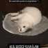 Bücüre acil yuva fotoğraf