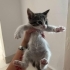 MİNİK LEBRON YUVASINI ARIYOR fotoğraf