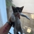 MİNİK LEBRON YUVASINI ARIYOR fotoğraf