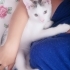 Pamuk oğluma çok sevileceği yuva arıyorum. fotoğraf