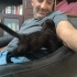 Acil yuva arayan bebek kedi fotoğraf