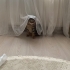Bu kedi sarılmayı bilir, dışarı çıkmaz. Balkon cam önü sever. fotoğraf