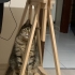 Bu kedi sarılmayı bilir, dışarı çıkmaz. Balkon cam önü sever. fotoğraf