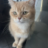 Burçak’a yuva arıyorum fotoğraf