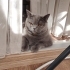 GÜZEL KIZIMIZ LUNA fotoğraf