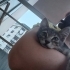 Çok uyumlu, kucak manyağı fotoğraf