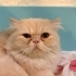Üretimden kurtardım fotoğraf