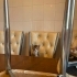 KARDEŞ KEDİLER YUVA İLANI fotoğraf