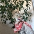 Bu çocuk bir harika! fotoğraf