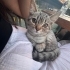 Acil yuva arıyoruz fotoğraf