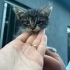 KÜÇÜCÜK BİR BEBEK SOKAKTA fotoğraf