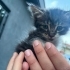 KÜÇÜCÜK BİR BEBEK SOKAKTA fotoğraf