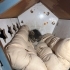 KÜÇÜCÜK BİR BEBEK SOKAKTA fotoğraf