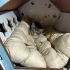 KÜÇÜCÜK BİR BEBEK SOKAKTA fotoğraf