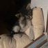 KÜÇÜCÜK BİR BEBEK SOKAKTA fotoğraf