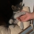 KÜÇÜCÜK BİR BEBEK SOKAKTA fotoğraf