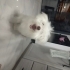 LOKUMA ACİL YUVA fotoğraf