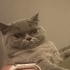 Güzel kızımıza ömürlük yuva fotoğraf