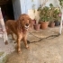 Yuvacık Aranıyor fotoğraf