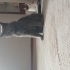 British Shorthair Erkek Kedi – Kısır ve Eğitimli fotoğraf