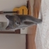 British Shorthair Erkek Kedi – Kısır ve Eğitimli fotoğraf