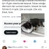 bacağı kırık tedavi ettirdiğim can fotoğraf