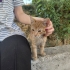 Sarman Severler Buraya! fotoğraf