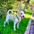AİLE BÜYÜĞÜ BAKIMA MUHTAÇ KALINCA, 6 AYLIK 10 KG ÇOCUK ORTDA KALDI🥺 fotoğraf