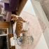 3.5 AYLIK BENGAL SARMAN BÖYLE BİR KEDİ GÖRMEDİM ÇOOOK SEVGİ DOLU fotoğraf
