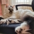 Şirin güzel uyumlu fotoğraf