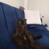Ömürlük Yuva Arıyoruz fotoğraf